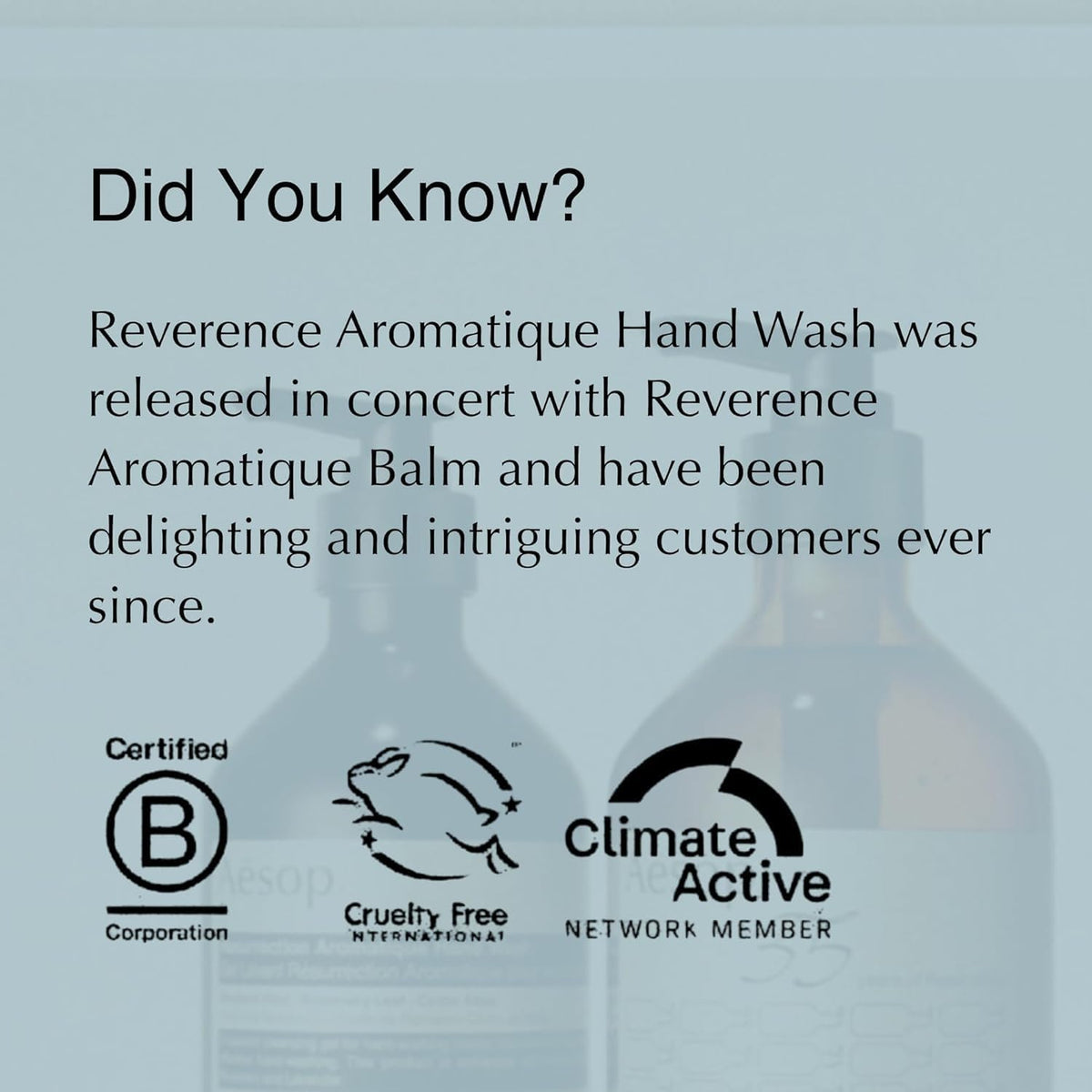 Aesop Reverence Aromatique Exfoliating Hand Wash 500mL vue arrière