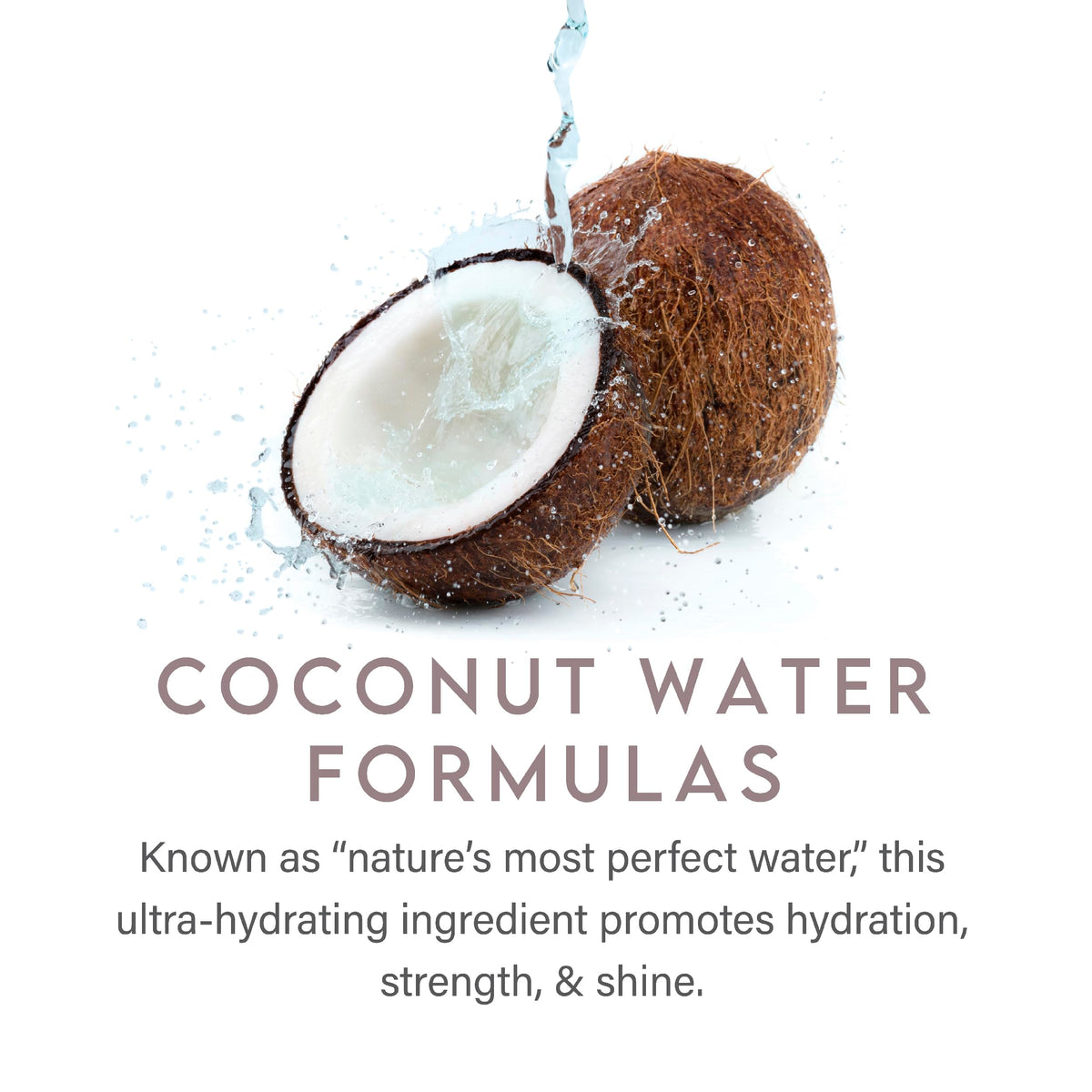 ALURAM Shampooing Hydratant à l'Eau de Coco 1000ml avec texture crémeuse