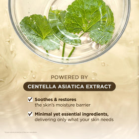 Ampoule SKIN1004 Madagascar Centella entourée de plantes