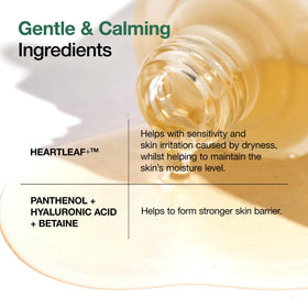 ANUA Ampoule Heartleaf 80 application du sérum sur la peau