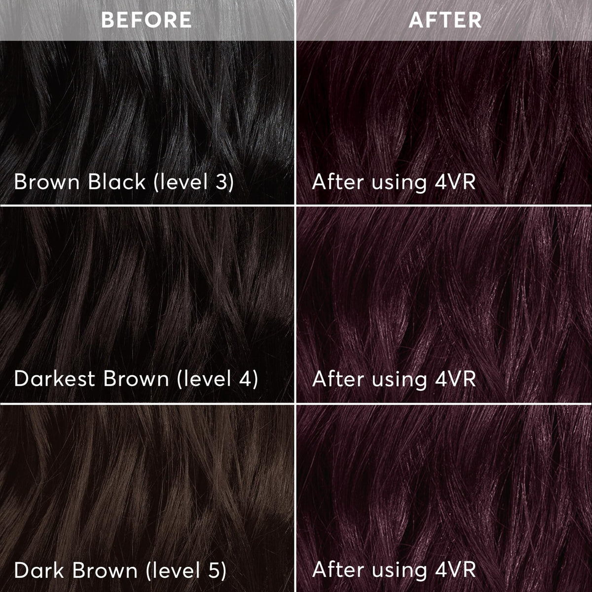 Application de la couleur sur des cheveux