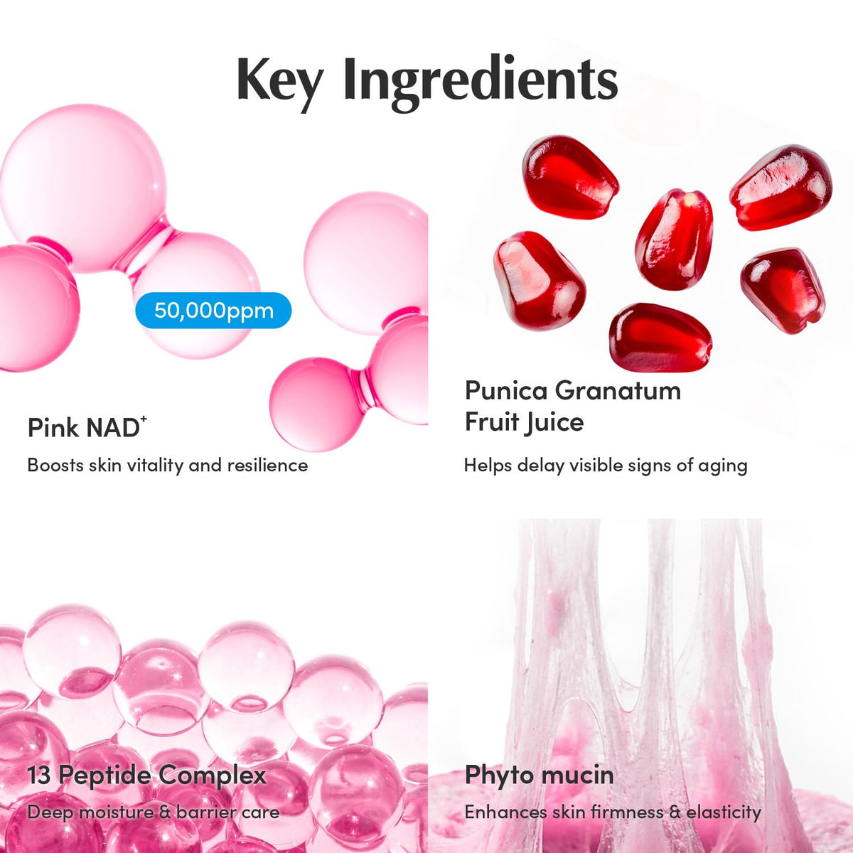Application de la crème EQQUALBERRY sur le cou