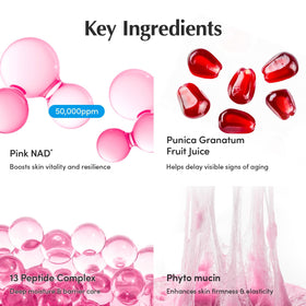 Application de la crème EQQUALBERRY sur le cou