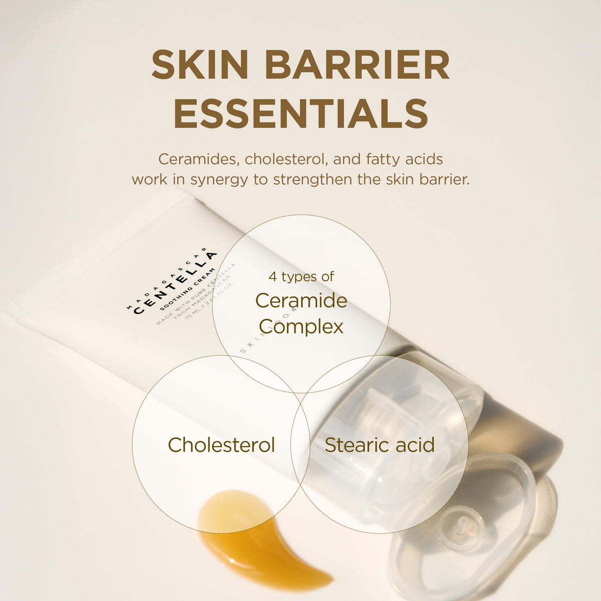 Application de la Crème SKIN1004 sur le visage
