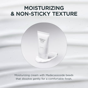 Application de la crème SKIN1004 sur le visage
