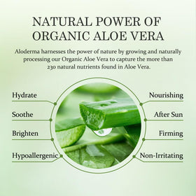 Application du gel d'Aloe Vera Aloderma sur le visage