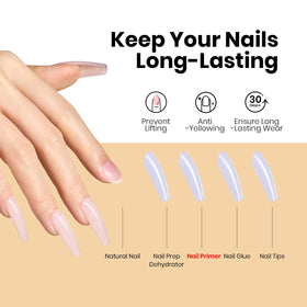 Application du Primer à Ongles beetles sur un ongle