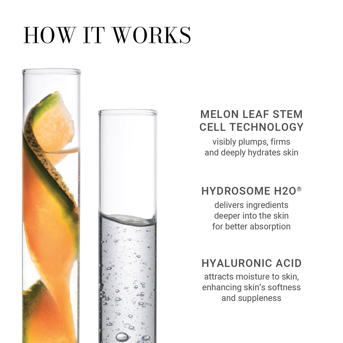 Application du Sérum Actif au Melon sur le visage