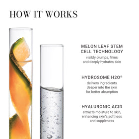 Application du Sérum Actif au Melon sur le visage