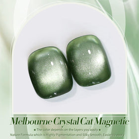 Application du vernis gel magnétique Born Pretty sur des ongles