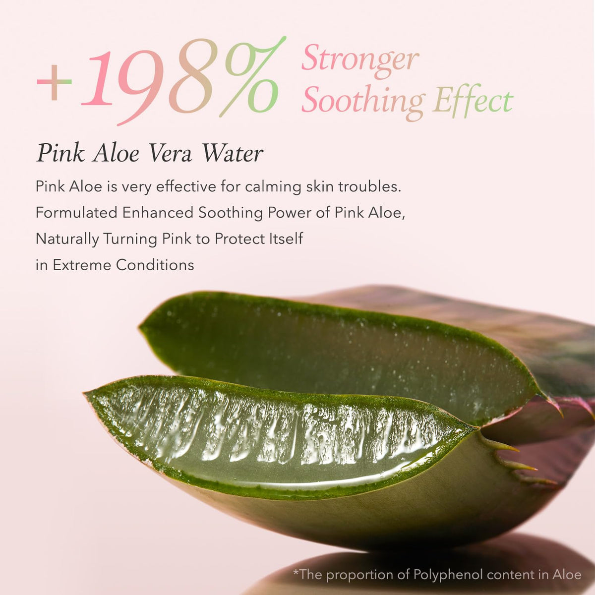 APRILSKIN Tonique Pink Aloe Vita 310g près de plantes