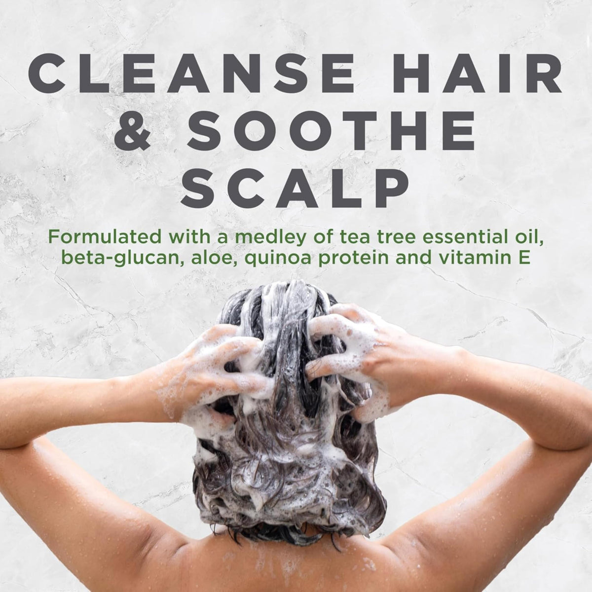 Avalon Organics Shampoo Traitement Cuir Chevelu 32 oz avec fond naturel