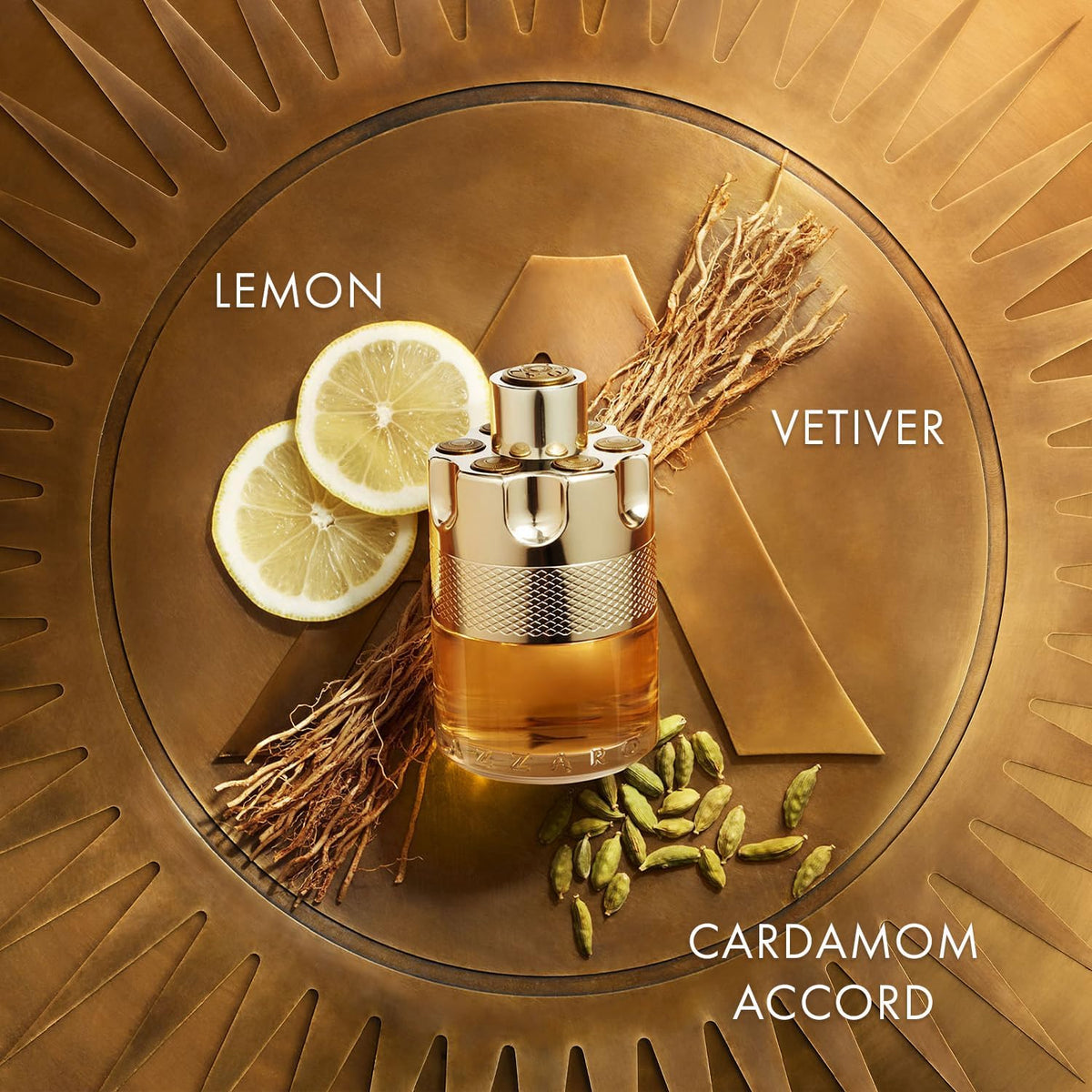 Azzaro Wanted Eau de Toilette 100 ml avec son emballage