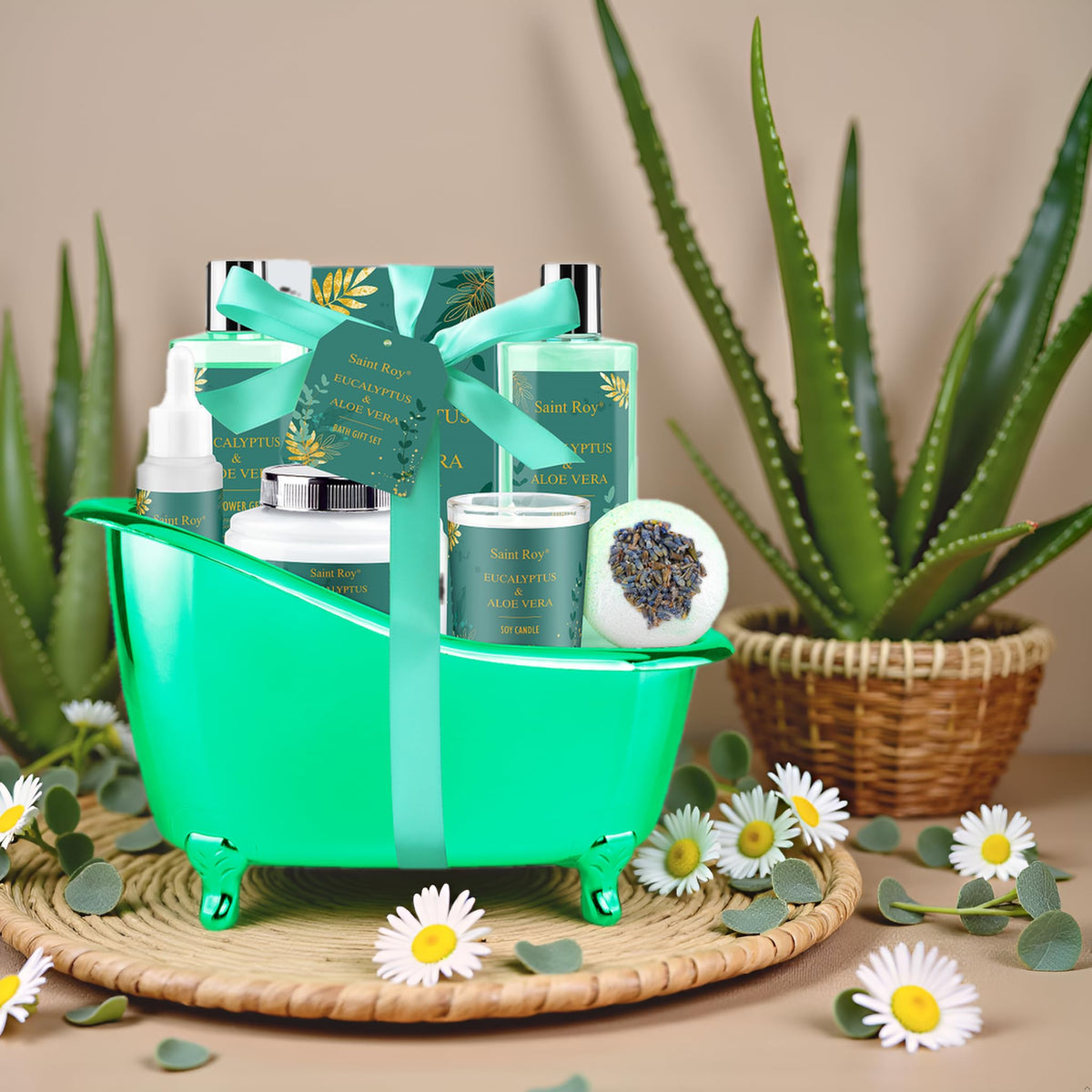 Baignoire réutilisable du panier spa Saint Roy
