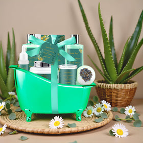 Baignoire réutilisable du panier spa Saint Roy