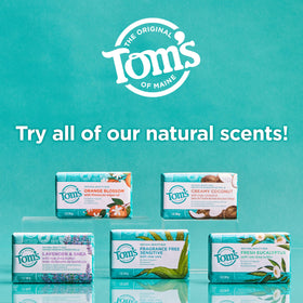 Barre de savon Tom's of Maine, mise en scène dans un environnement naturel