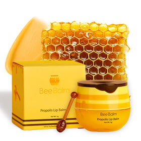 Baume à lèvres Bee Balm 45g en pot avec lid transparent