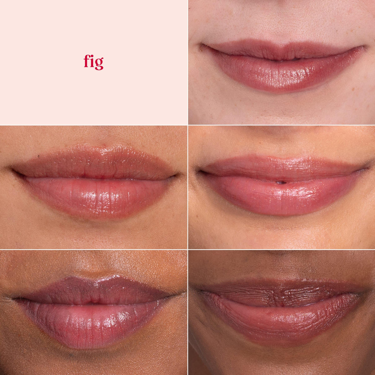 Baume à lèvres Burt's Bees Shimmer Fig avec effet lumineux