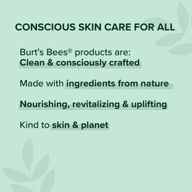 Baume à lèvres Burt's Bees sur un fond neutre
