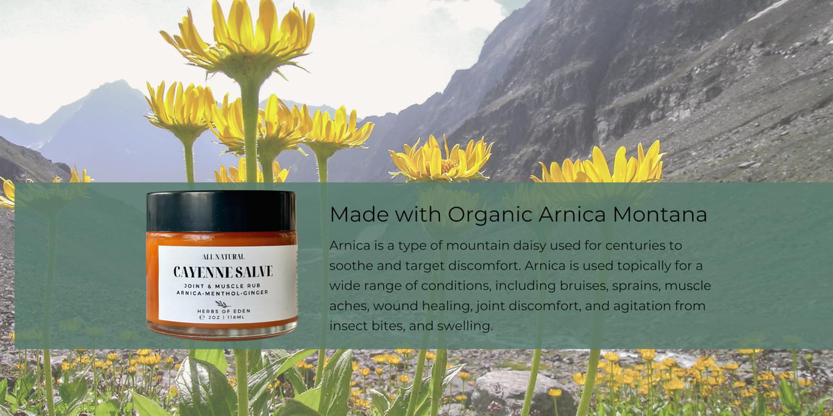 Baume Cayenne Arnica avec ses ingrédients botaniques