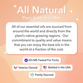 Baume d'Hélichryse Vitality avec des ingrédients naturels autour