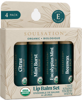 Baumes à lèvres bio SOULSATION ensemble de 4 saveurs