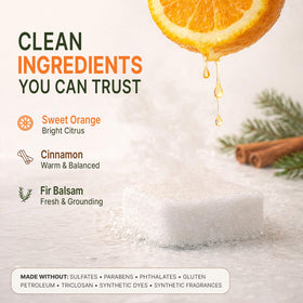 Beauty by Earth Shower Steamers Aromatherapy citrus spice scent