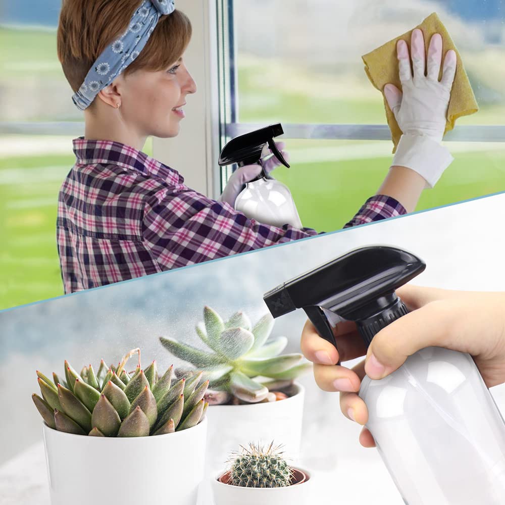 Bontip Bouteille en Verre Spray 16 oz avec accessoires inclus