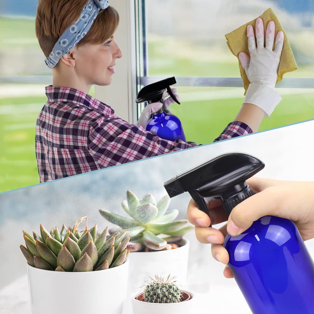 Bontip bouteille spray avec étiquette noire