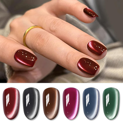 Born Pretty 7ml set de vernis gel magnétique rétro vue de face