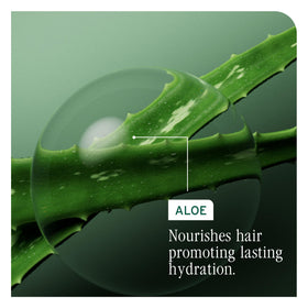 Bouteille de shampooing Biolage Hydra Source avec capuchon