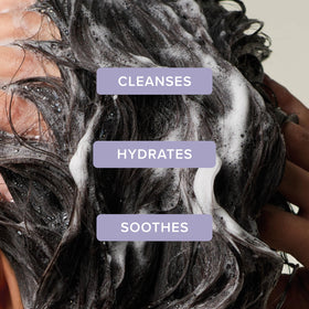 Bouteille de shampooing Tea Tree avec étiquette détaillée