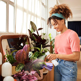 Bouteille spray Apidgrowth en utilisation sur des cheveux