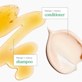 Briogeo après-shampooing léger 12,5 fl oz en mise en scène