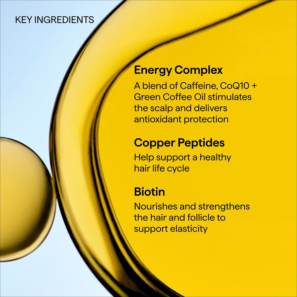 Briogeo Shampoo Caffeine + Biotin Peptides 240g with other hair care products