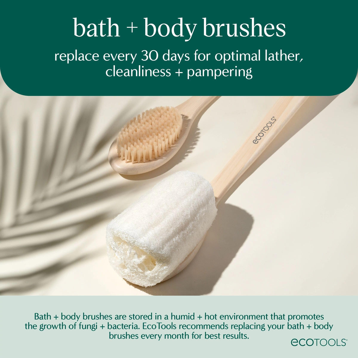 Brosse de Bain EcoTools à côté de gels douche et soins