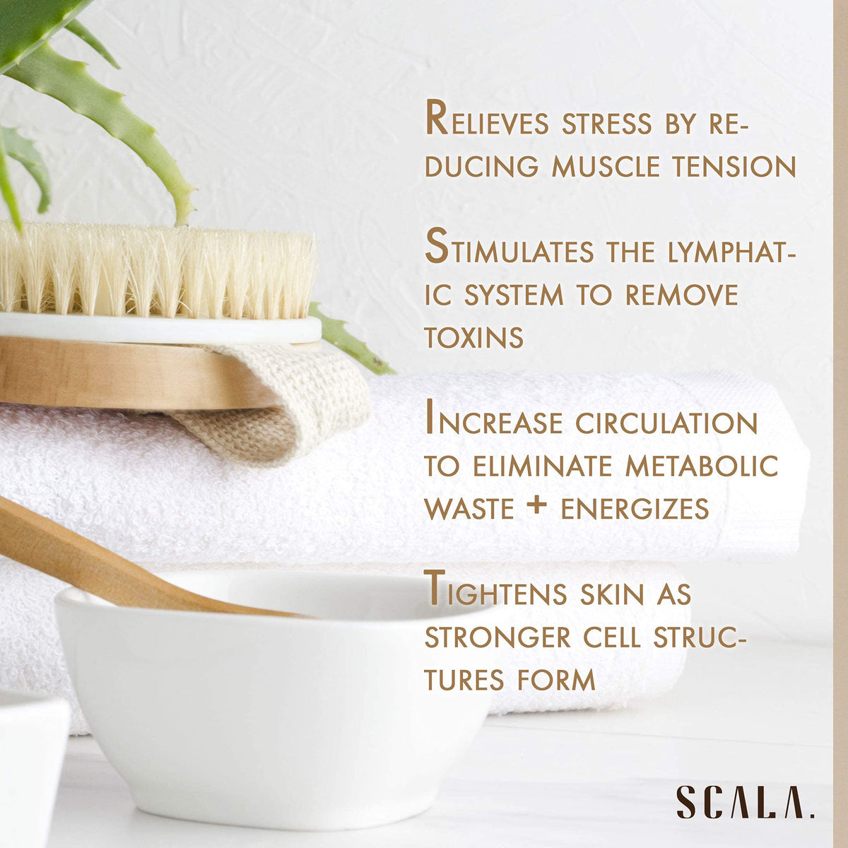 Brosse de corps Scala à côté d'autres accessoires de bain