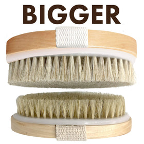 Brosse de corps Scala avec un crochet pour séchage