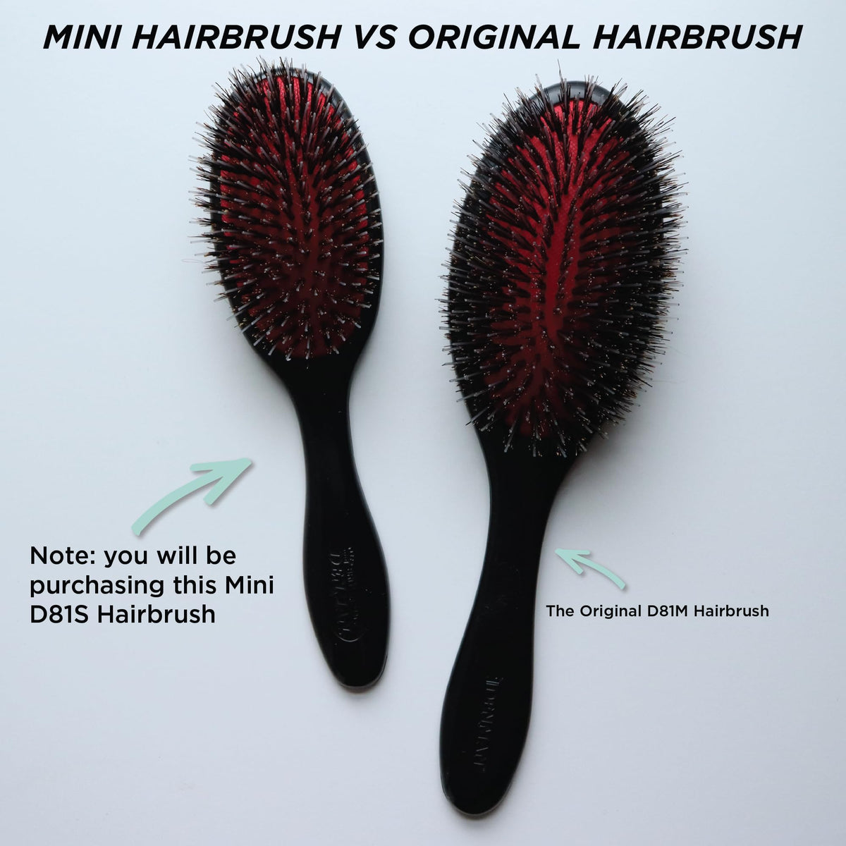 Brosse Denman Cushion avec son emballage