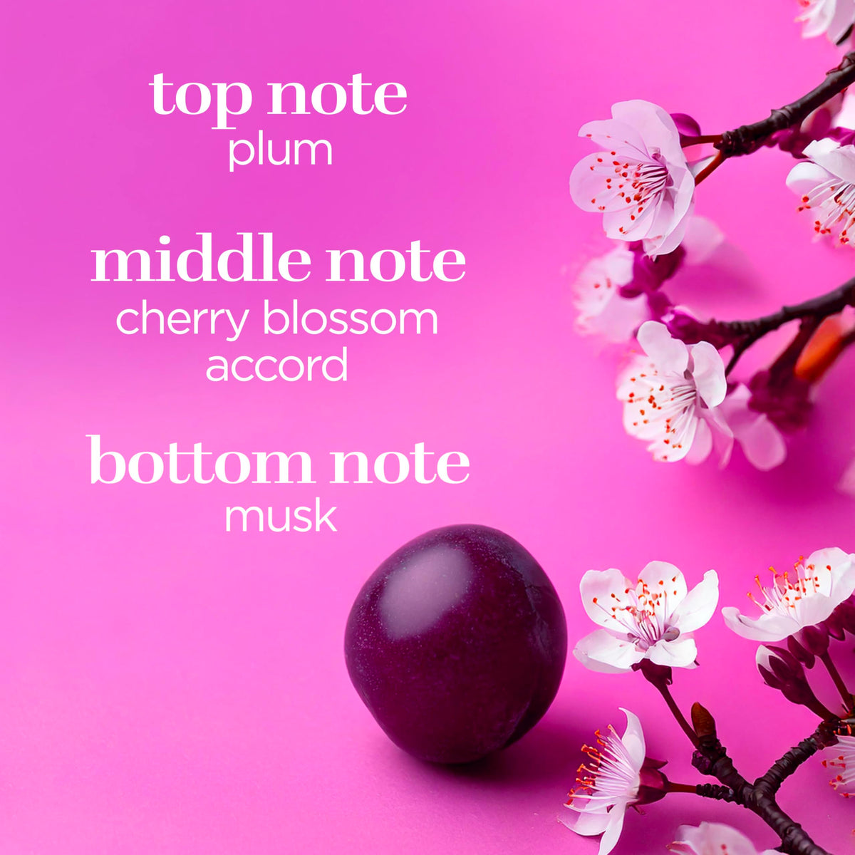 Brume parfumée Body Fantasies Cerisier Japonais 490g en milieu naturel