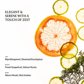 Brume Touchland Sparkling Bergamot sur une table