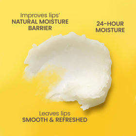 Burt's Bees Baume à Lèvres en vanille, groupe de 4 tubes