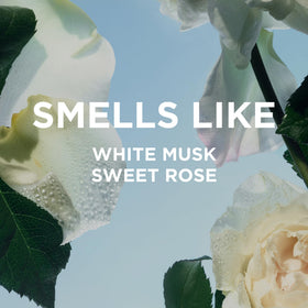 By Rosie Jane Parfum de Voyage 10ml vue arrière avec étiquette