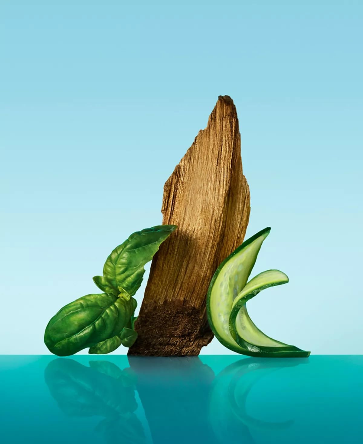 Calvin Klein Eternity Aqua Eau de Toilette en ambiance naturelle
