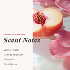 Caress Gel Douche Daily Silk Pêche Blanche et Fleur d'Orange texture mousseuse
