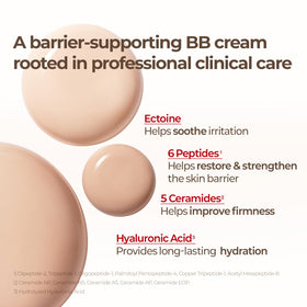 Cell Fusion C BB Cream No.27 Hazel avec packaging
