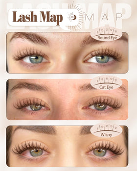 Cils marron Mavphnee avec bande claire sur un fond neutre