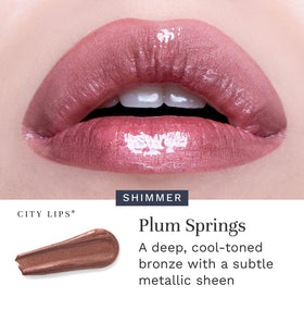 City Beauty Gloss à Lèvres Plum Springs dans son emballage