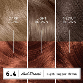 Clairol ColorStrong 6.4 Châtain Cuivré Clair primer de liaison