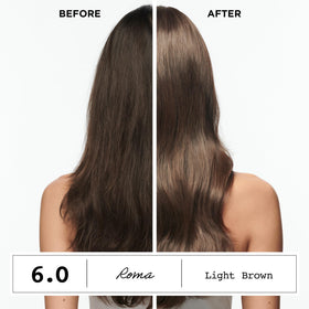 Clairol ColorStrong 6.4 Châtain Cuivré Clair traitement de liaison